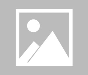 爱游戏下载-勒沃库森夏季转会最新消息